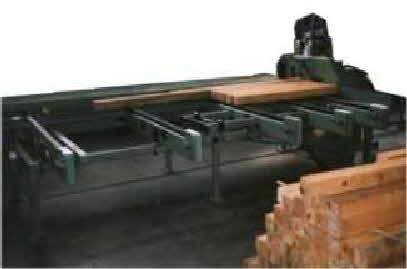 Klotzs�ge Corali M254